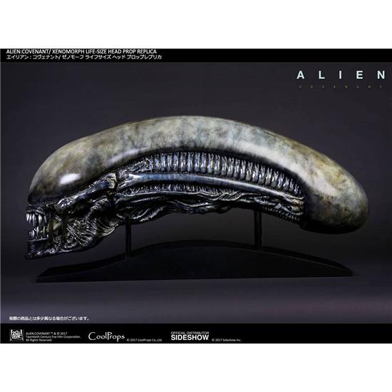 Alien: Covenant 1/1 Xenomorph Head 90 cm