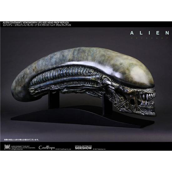 Alien: Covenant 1/1 Xenomorph Head 90 cm