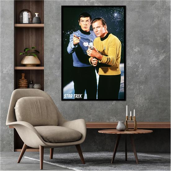 Star Trek: Kirk og Spock Plakat