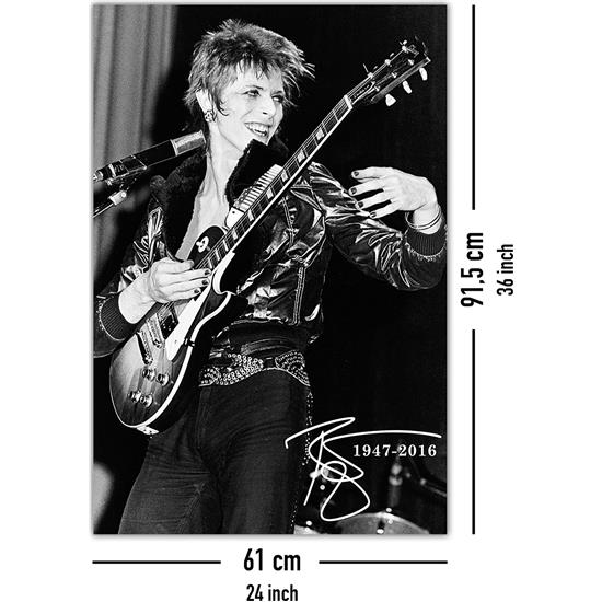David Bowie: David Bowie Tribute Plakat