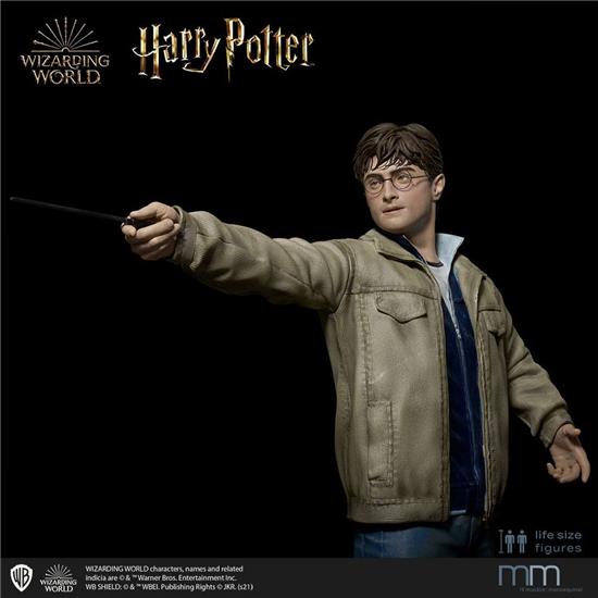 Harry Potter: Harry Potter and the Deathly Hallows Life-Size Statue 182 cm