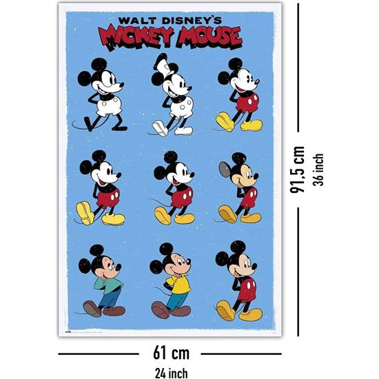 Disney: Mickey Mouse Evolution Plakat