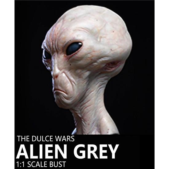 Manga & Anime: ulce Wars: Alien Grey Life-Size Buste 61 cm