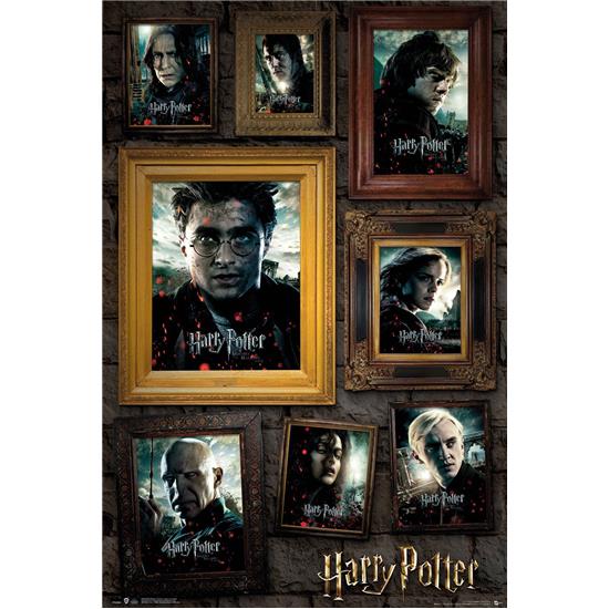 Harry Potter: Harry Potter Portræt Plakat