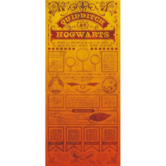 Harry Potter: Quidditch Art Print 42 x 19 cm