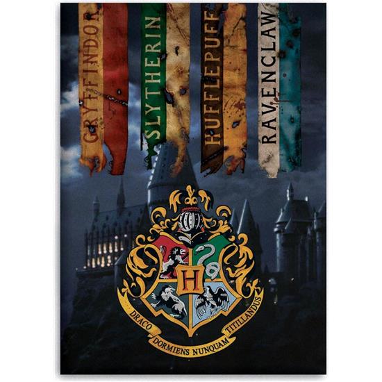 Harry Potter: Hogwarts Kollegie Fleece Tæppe 100 x 140 cm
