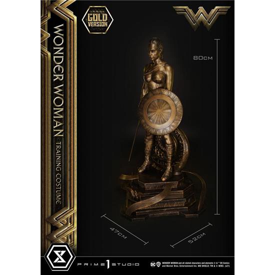 DC Comics: Wonder Woman Training Costume Gold Version Statue 80 cm