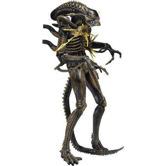 Alien: Brun Xenomorph Warrior Battle-Damaged