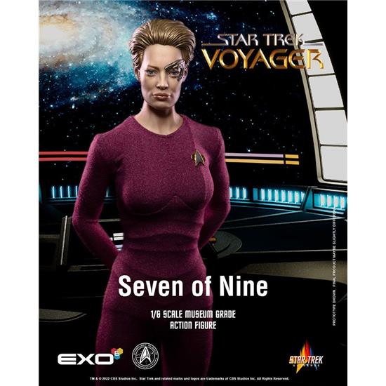 Star Trek: Seven of Nine Action Figure 1/6 30 cm