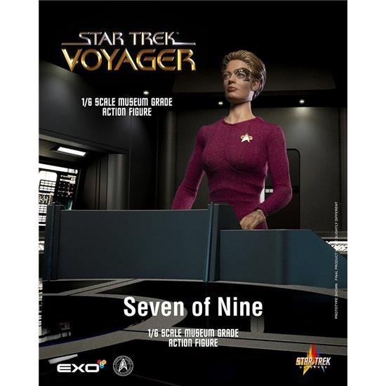 Star Trek: Seven of Nine Action Figure 1/6 30 cm