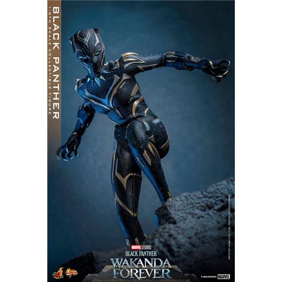 Black Panther: Black Panther Action Figure 1/6 28 cm Movie Masterpiece
