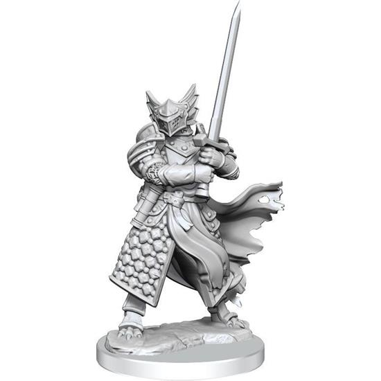 Dungeons & Dragons: Dragonborn Paladin Male Frameworks Miniature Model Kit