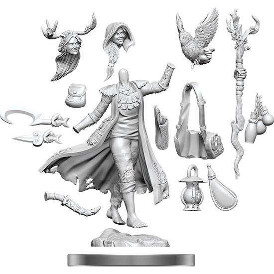 Dungeons & Dragons: Human Druid Female Frameworks Miniature Model Kit