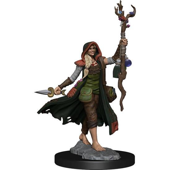 Dungeons & Dragons: Human Druid Female Frameworks Miniature Model Kit