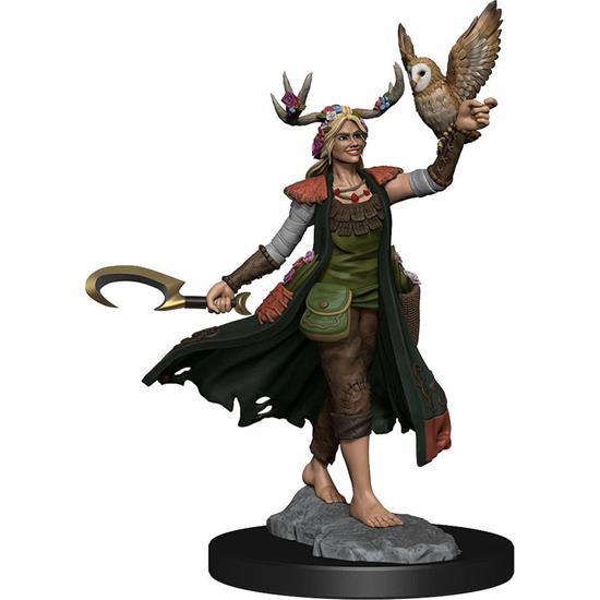 Dungeons & Dragons: Human Druid Female Frameworks Miniature Model Kit