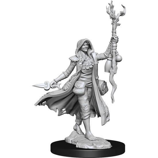 Dungeons & Dragons: Human Druid Female Frameworks Miniature Model Kit