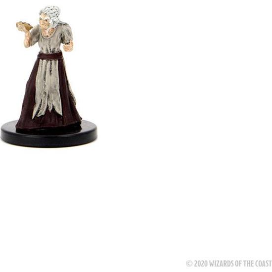 Dungeons & Dragons: Curse of Strahd pre-painted Covens & Covenants Premium Box Set Miniature Figures 7-pack