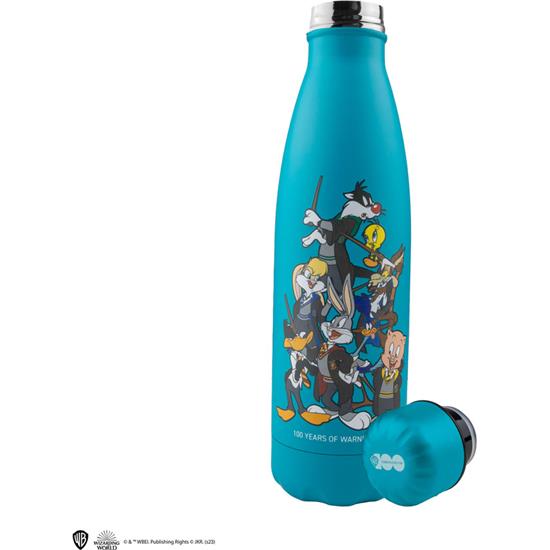 Looney Tunes: Looney Tunes at Hogwarts Thermo Drikkedunk 500ml