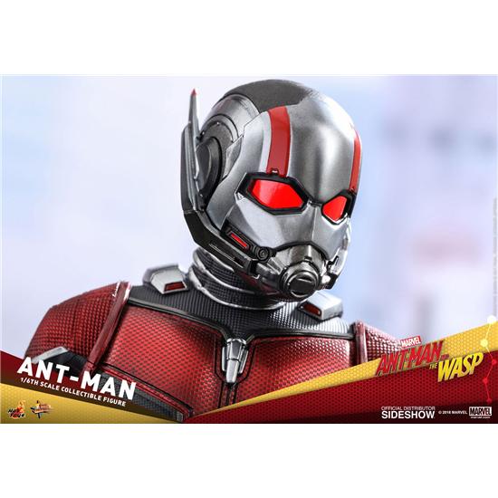 Marvel: Ant-Man & The Wasp Movie Masterpiece Action Figure 1/6 Ant-Man 30 cm