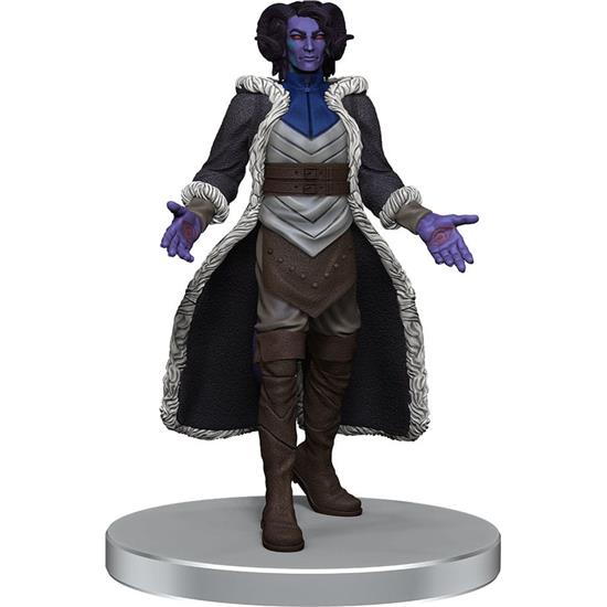 Critical Role: The Tombtakers pre-painted Miniatures Boxed Set