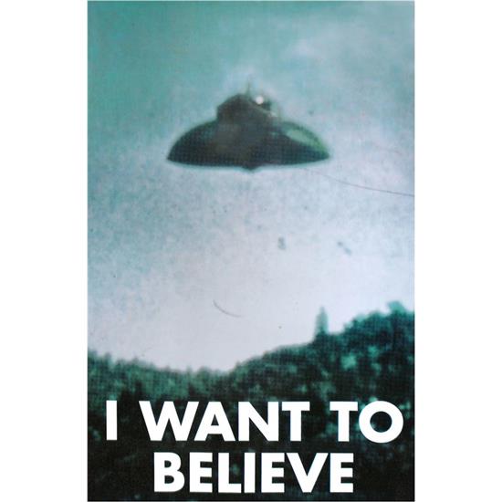 X-Files: I Want To Believe Plakat