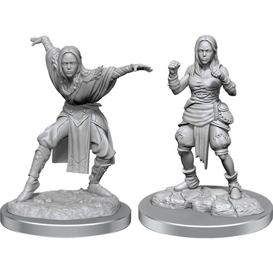 Pathfinder: Half-Elf Monk Female Unpainted Miniatures 2-Pack