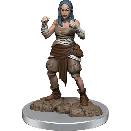 Pathfinder: Half-Elf Monk Female Unpainted Miniatures 2-Pack