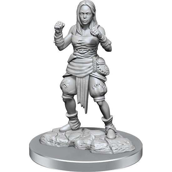 Pathfinder: Half-Elf Monk Female Unpainted Miniatures 2-Pack