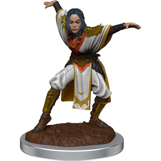 Pathfinder: Half-Elf Monk Female Unpainted Miniatures 2-Pack