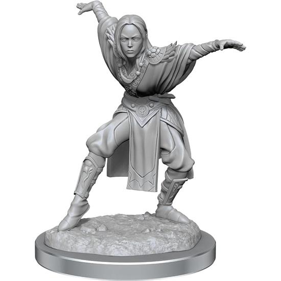 Pathfinder: Half-Elf Monk Female Unpainted Miniatures 2-Pack