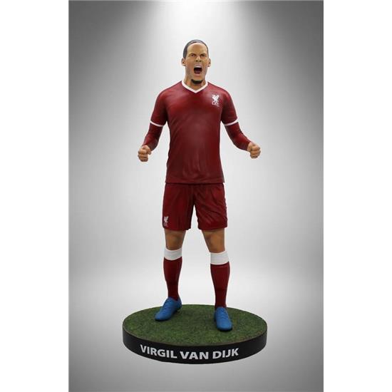 Football: Virgil Van Dijk (Liverpool) Football