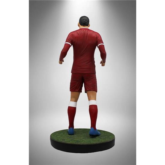 Football: Virgil Van Dijk (Liverpool) Football