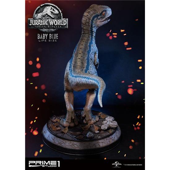 Jurassic Park & World: Jurassic World: Fallen Kingdom Life-Size Statue Baby Blue 69 cm