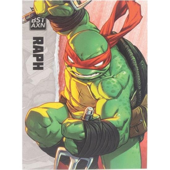 Ninja Turtles: Raphael (IDW Comics) BST AXN Action Figure 13 cm