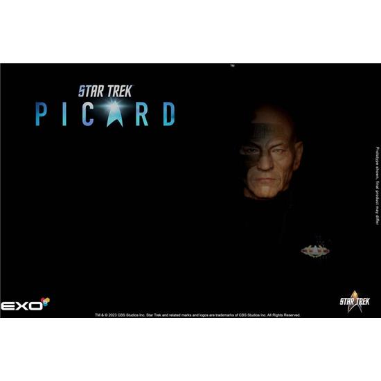 Star Trek: Jean-Luc Picard Action Figure 1/6 28 cm