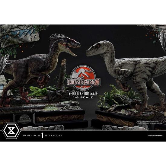 Jurassic Park & World: Velociraptor Male Legacy Museum Collection Statue 1/6 40 cm