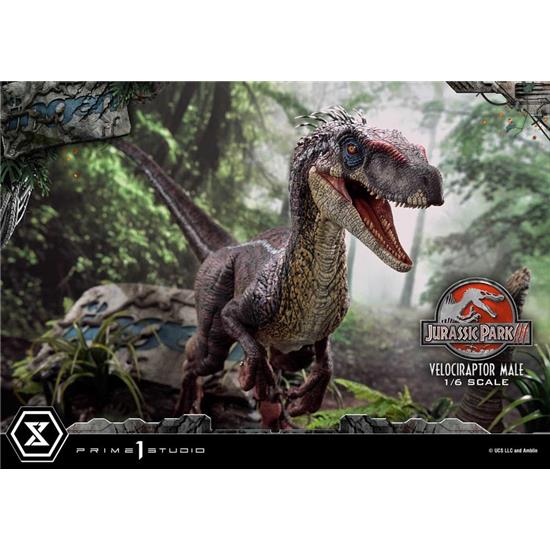 Jurassic Park & World: Velociraptor Male Bonus Version Legacy Museum Collection Statue 1/6 40 cm