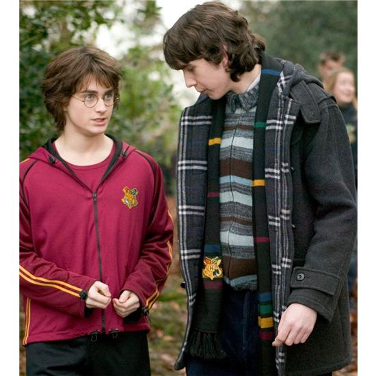 Harry Potter: Hogwarts halstørklæde