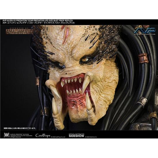 Alien vs. Predator: Aliens vs Predator Bust 1/1 Scar Predator 65 cm