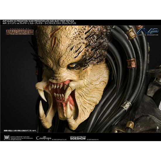 Alien vs. Predator: Aliens vs Predator Bust 1/1 Scar Predator 65 cm