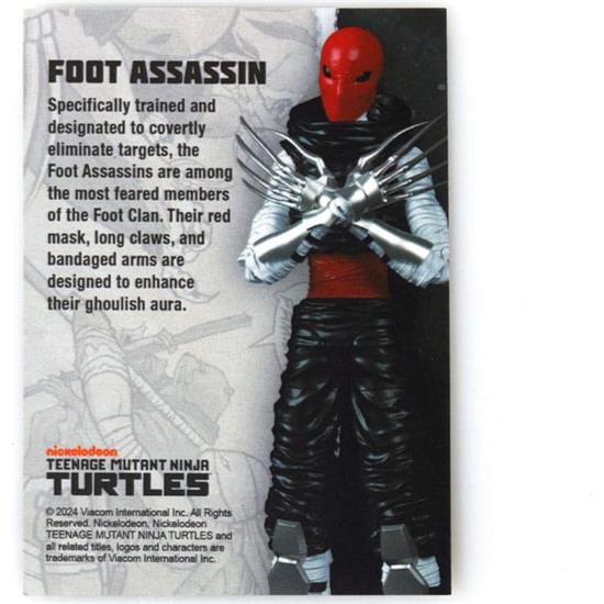 Ninja Turtles: Foot Assassin (IDW Comics) BST AXN Action Figure 13 cm