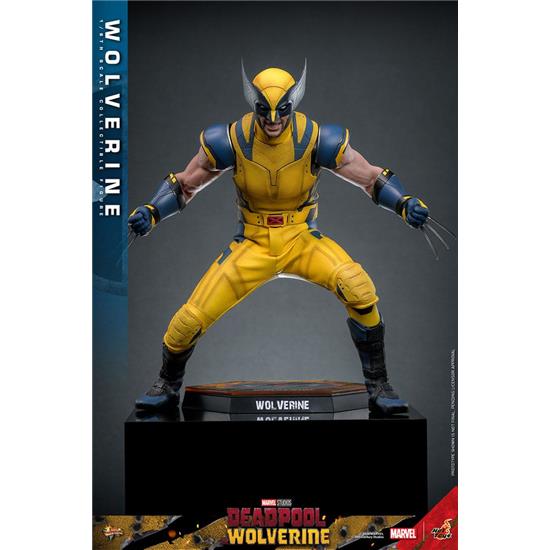 Marvel: Wolverine Movie Masterpiece Action Figure 1/6 31 cm