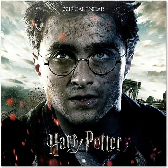 Harry Potter: Harry Potter Kalender 2019 Med Plakat