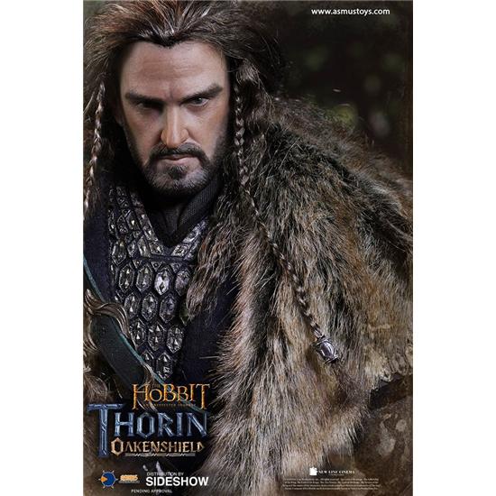 Hobbit: The Hobbit Action Figure 1/6 Thorin Oakenshield 25 cm