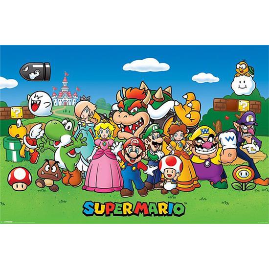 Nintendo: Characters plakat