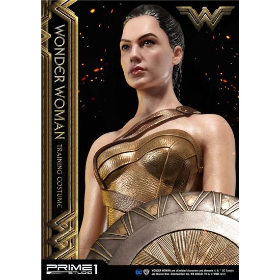 DC Comics: Wonder Woman Statue Wonder Woman Training Costume 79 cm