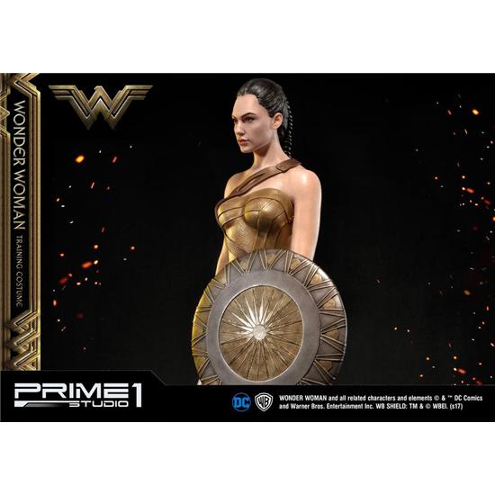 DC Comics: Wonder Woman Statue Wonder Woman Training Costume 79 cm