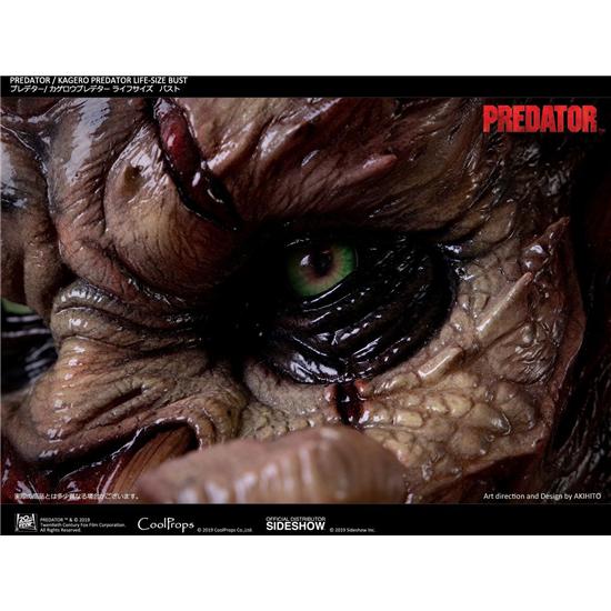 Predator: Predator Bust 1/1 Kagero Predator 64 cm