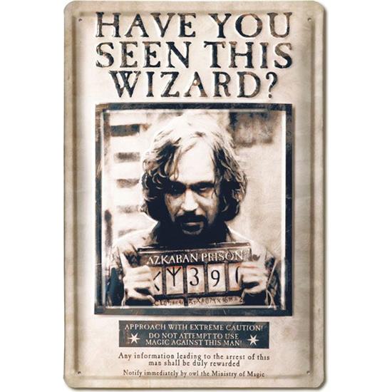 Harry Potter: Have You Seen This Wizard 20 x 30 cm