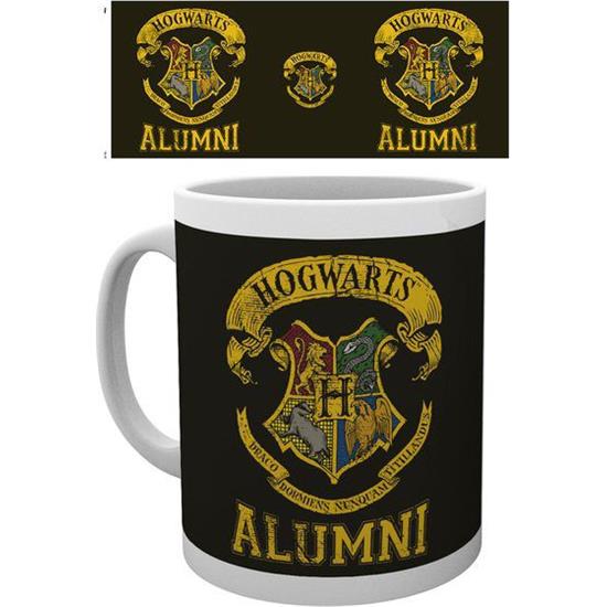 Harry Potter: Hogwarts Alumni Krus